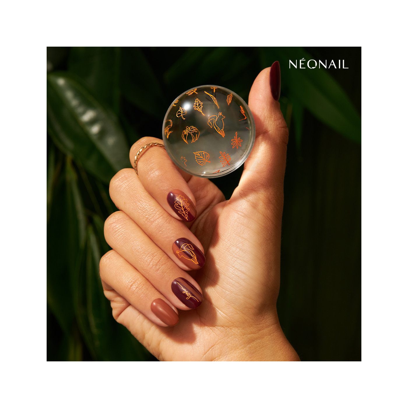 Hoja de estampado 24