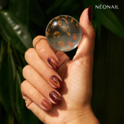 Hoja de estampado 24