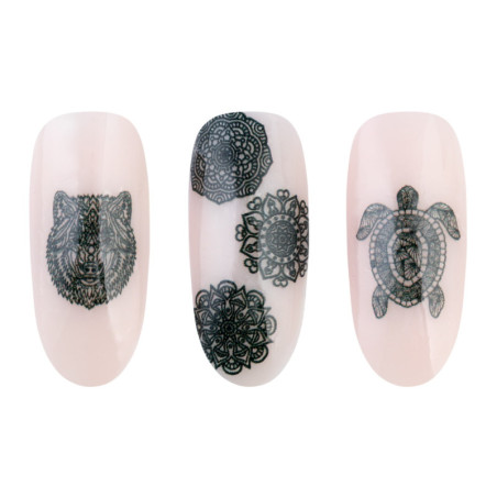 Pegatinas al agua -  NN22