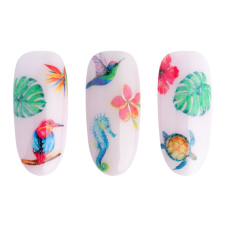 Pegatinas al agua - NN34