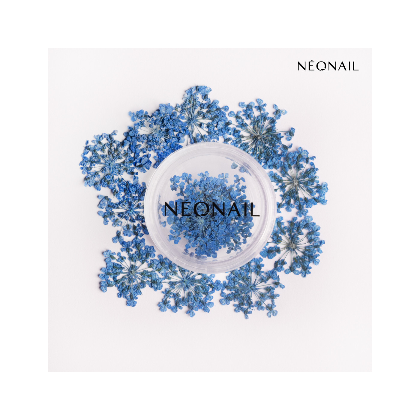 Adorno floral para u&ntilde;as 04 - Navy