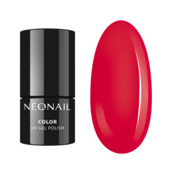 ADORABLE Starter Set