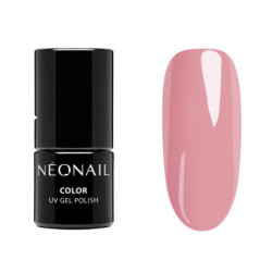 Essentials Startet Set