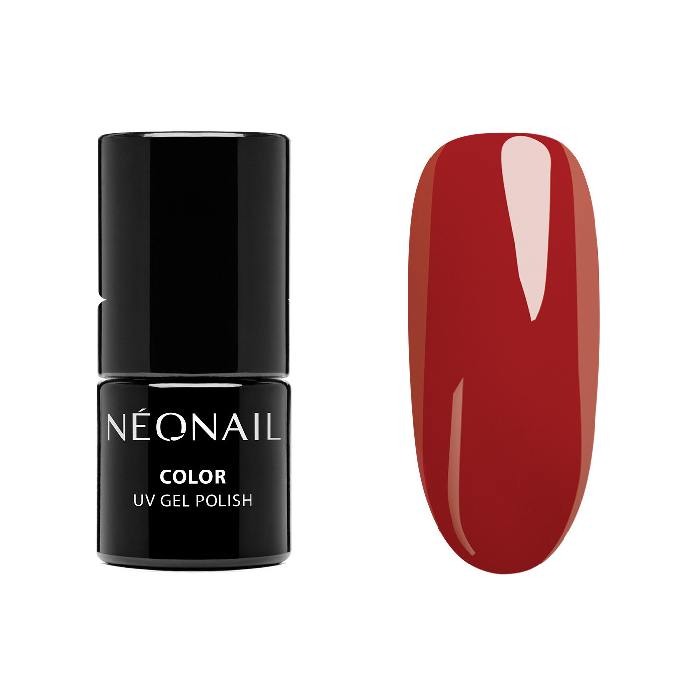 Color Favorites Starter Set