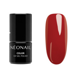 Color Favorites Starter Set