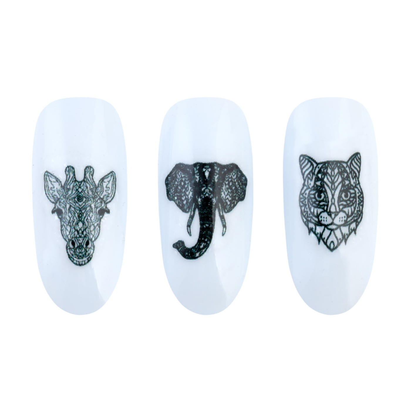 Pegatinas al agua - NN23