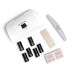 Color Favorites Starter Set