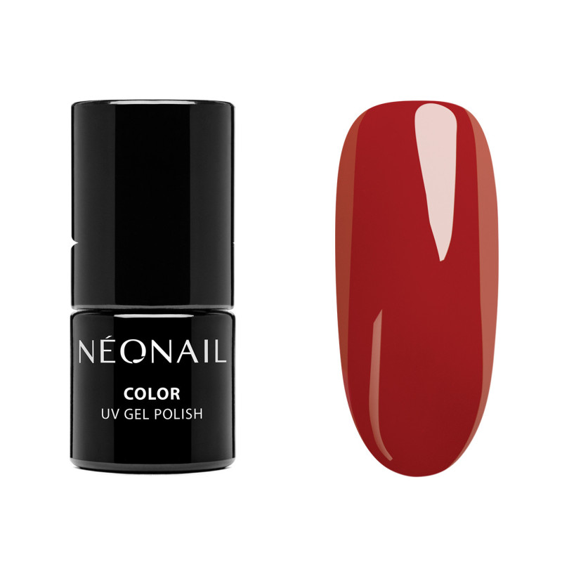 Color Favorites Starter Set