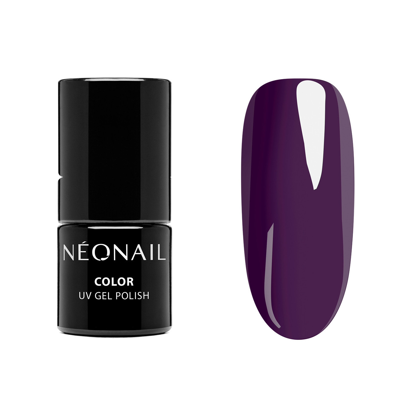 Color Favorites Starter Set