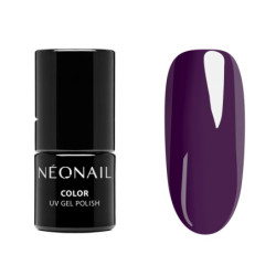 Color Favorites Starter Set