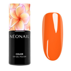 Esmalte semipermanente 7,2 ml - Inner Flame