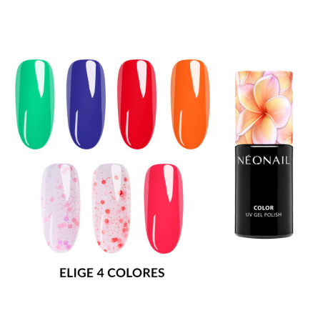 Crea tu Bloom - Mix&Match
