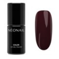 Esmalte semipermanente 7,2 ml &ndash; Brown Velvet | NEONAIL