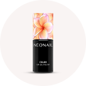 Colección Inner Bloom